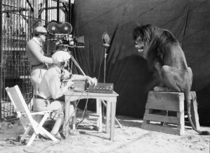 mgm_lion_2