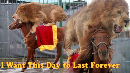 horse-lion