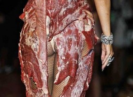 meat-suit