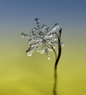 enhanced-snowflake