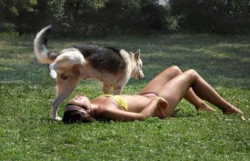marking-dog-girl-bikini