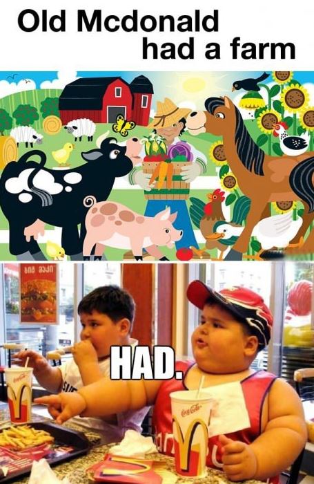 macdonald-farm