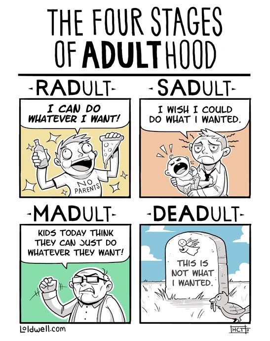 The Four Stages of Adulthood MoPo Geek