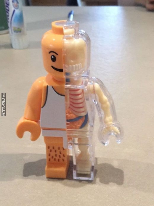 The Anatomy of a Lego Man MoPo Geek