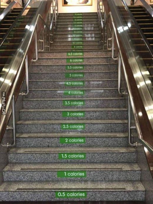 Take The Stairs Calorie Counter MoPo Geek