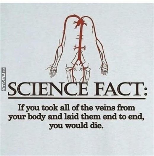 WHAT DOES FACT MEAN IN SCIENCE visual data 2